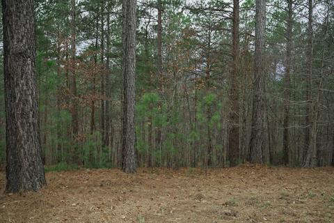 Forest Hills Drive, Mill Spring, NC 28756 photo 9