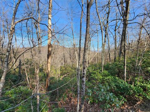 22 Sunset Ridge #22, Columbus, NC 28722