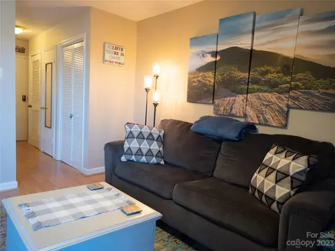 301 Pinnacle Inn 1103 Rd #1103, Beech Mountain, NC 28604