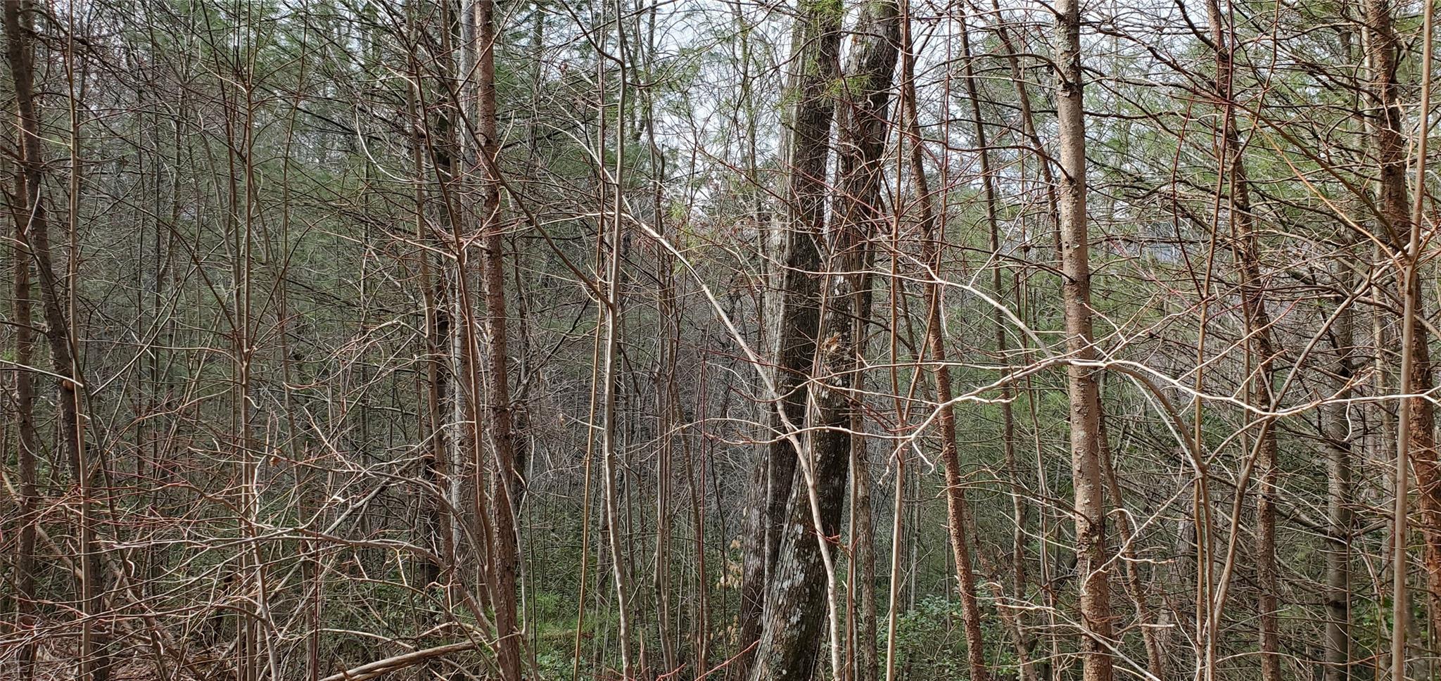 00 Staton Ridge 13 Rd Unit 13  