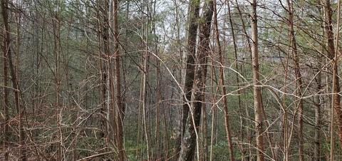 00 Staton Ridge 13 Rd #13, Saluda, NC 28773