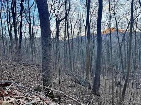 0 Bald Mountain 224 Cres #224, Lake Lure, NC 28746