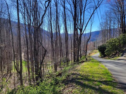 699 Spirit Mountain 25 Trl #25, Waynesville, NC 28786
