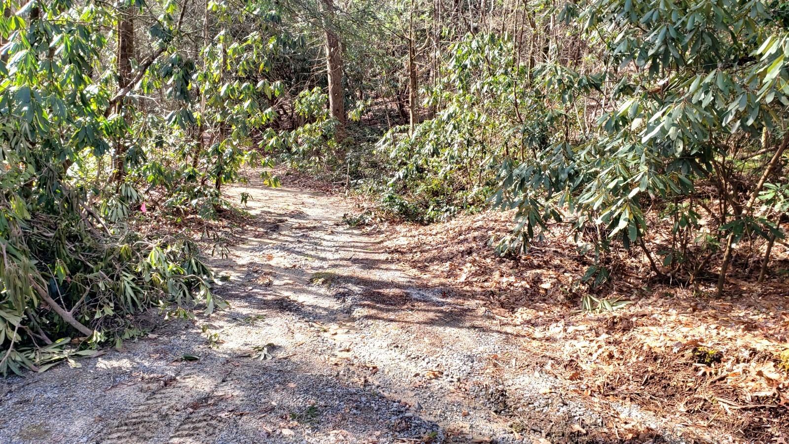 9999 Poplar 505506507 Ln Unit 505 506 507  