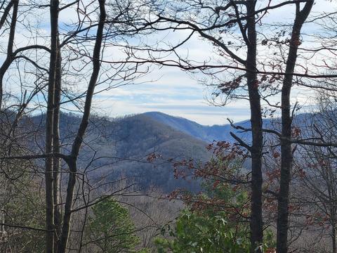 0000 Lookout Terrace Rd, Black Mountain, NC 28711