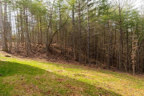91 Brancer Dr, Mars Hill, NC 28754 photo 42