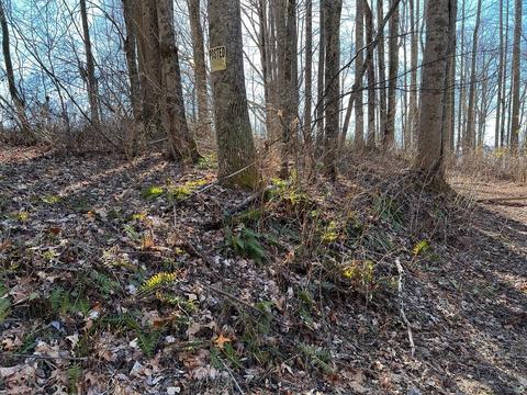 1363 Henry Rd, Sylva, NC 28779 photo 27