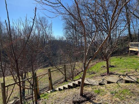 1363 Henry Rd, Sylva, NC 28779 photo 2