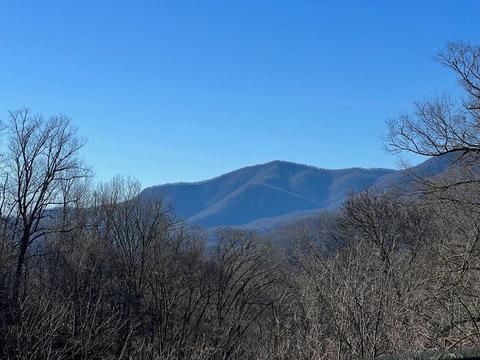 1363 Henry Rd, Sylva, NC 28779 photo 21