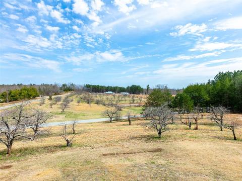 527 Laughter Rd, Mill Spring, NC 28756 photo 13