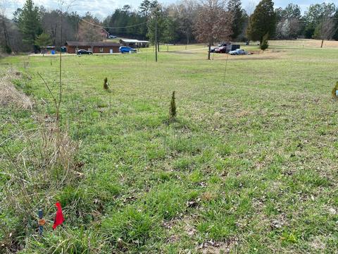 9750 Dewitt Dr, Concord, NC 28027 photo 4