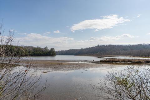 531 Sloping Meadow Dr, Mill Spring, NC 28756 photo 43