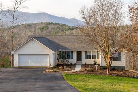 531 Sloping Meadow Dr, Mill Spring, NC 28756 photo 3