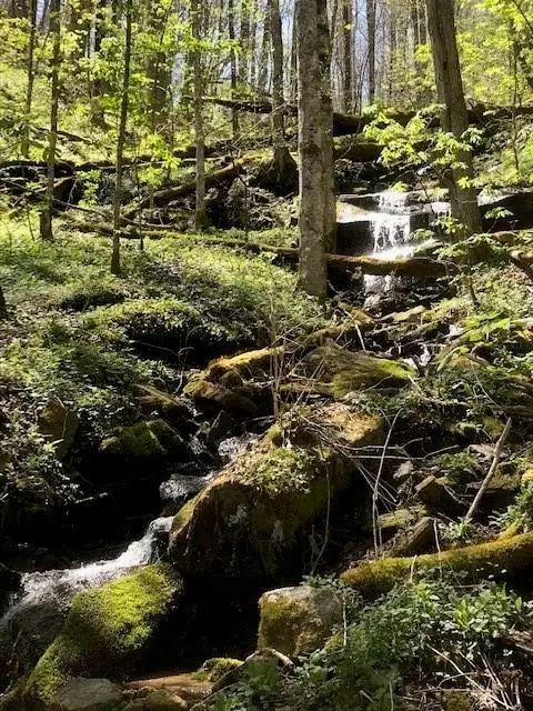 976 Slippery Rock Rd, Waynesville, NC 28785