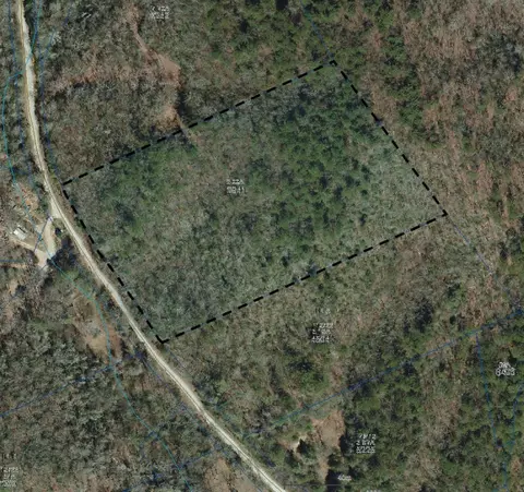 Diamond Creek Road, Lake Toxaway, NC 28747
