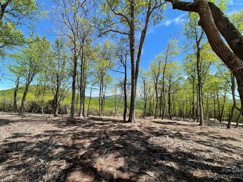 0000 E Garden Trl #LOT 47, Hendersonville, NC 28792