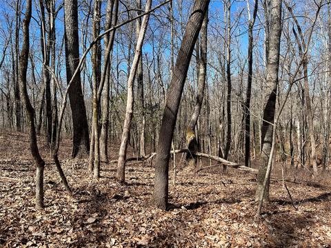L035 Frazier Road, Brevard, NC 28712