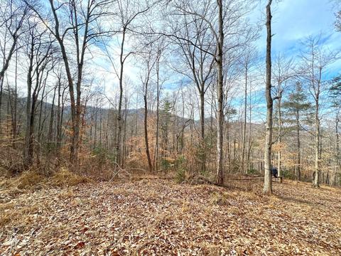 Tbd Anderson Branch, Marshall, NC 28753