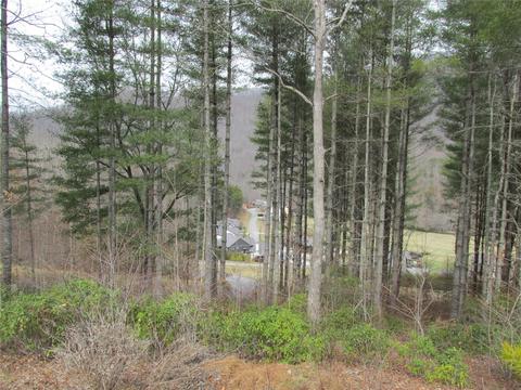 Lot 30 Sundrops Trail, Cullowhee, NC 28723