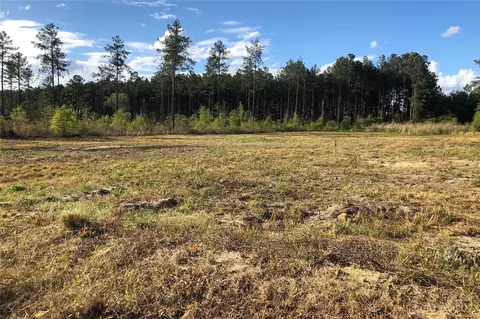 142 Mary Ann Crowley Rd, Patrick, SC 29584 photo 2