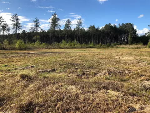 142 Mary Ann Crowley Rd, Patrick, SC 29584 photo 3