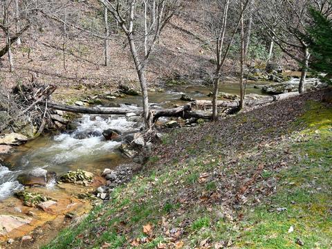 5065 Big Pine Rd, Marshall, NC 28753 photo 36