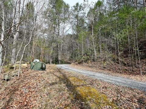 5065 Big Pine Rd, Marshall, NC 28753 photo 31