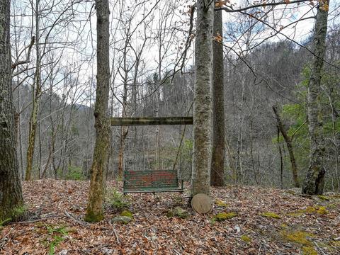 5065 Big Pine Rd, Marshall, NC 28753 photo 34