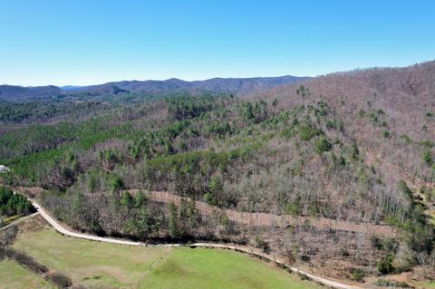 0 Blackburn Holw, Purlear, NC 28665 photo 2