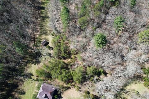 0 Blackburn Holw, Purlear, NC 28665 photo 14