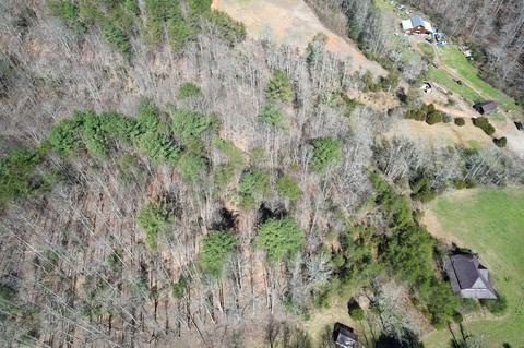 0 Blackburn Holw, Purlear, NC 28665 photo 9