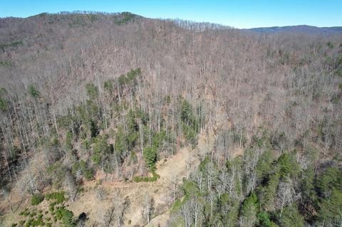 0 Blackburn Holw, Purlear, NC 28665 photo 17