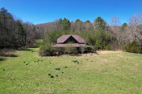 0 Blackburn Holw, Purlear, NC 28665 photo 12