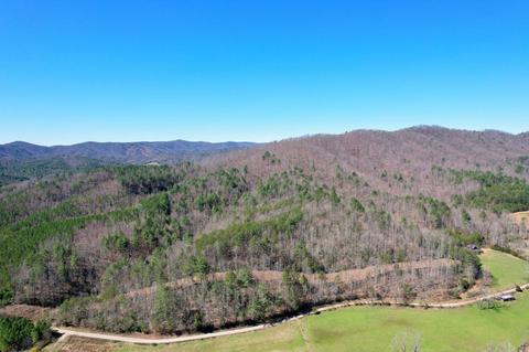 0 Blackburn Holw, Purlear, NC 28665 photo 3