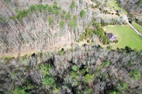 0 Blackburn Holw, Purlear, NC 28665 photo 8