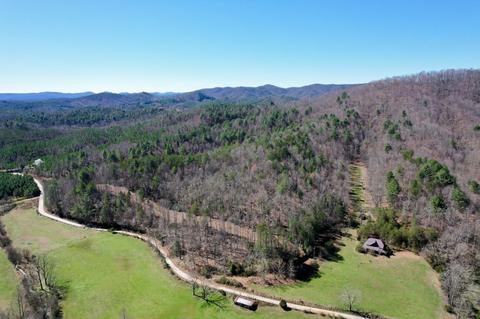 0 Blackburn Holw, Purlear, NC 28665