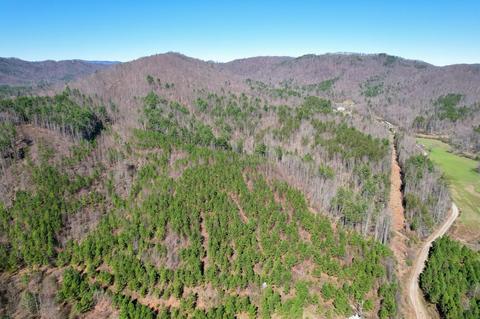 0 Blackburn Holw, Purlear, NC 28665 photo 22