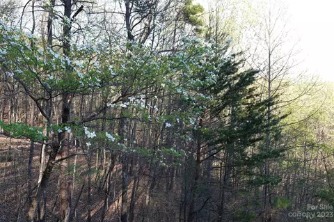 19 Fire Tower Rd, Bostic, NC 28018 photo 3