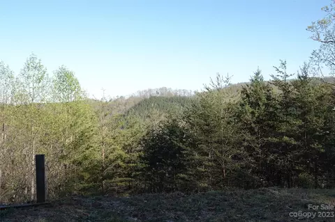 19 Fire Tower Rd, Bostic, NC 28018 photo 21
