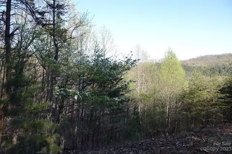 19 Fire Tower Rd, Bostic, NC 28018 photo 2