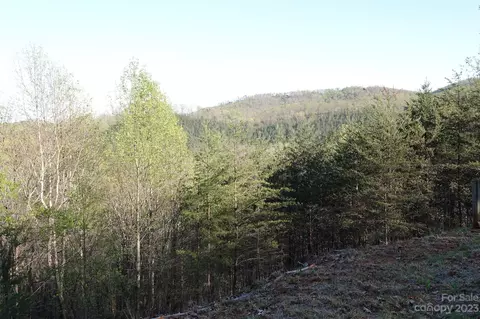 19 Fire Tower Rd, Bostic, NC 28018 photo 4