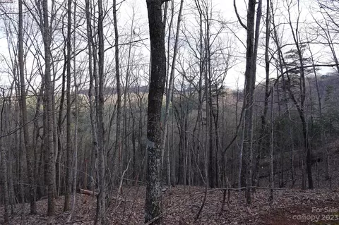 19 Fire Tower Rd, Bostic, NC 28018 photo 11