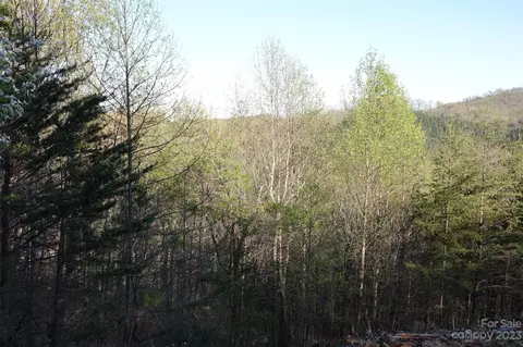 19 Fire Tower Rd, Bostic, NC 28018 photo 12