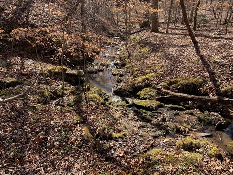 0 Valley Dr #143, Rutherfordton, NC 28139