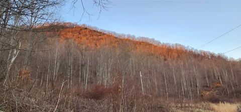 842 Rocky Face Rd, Sylva, NC 28779