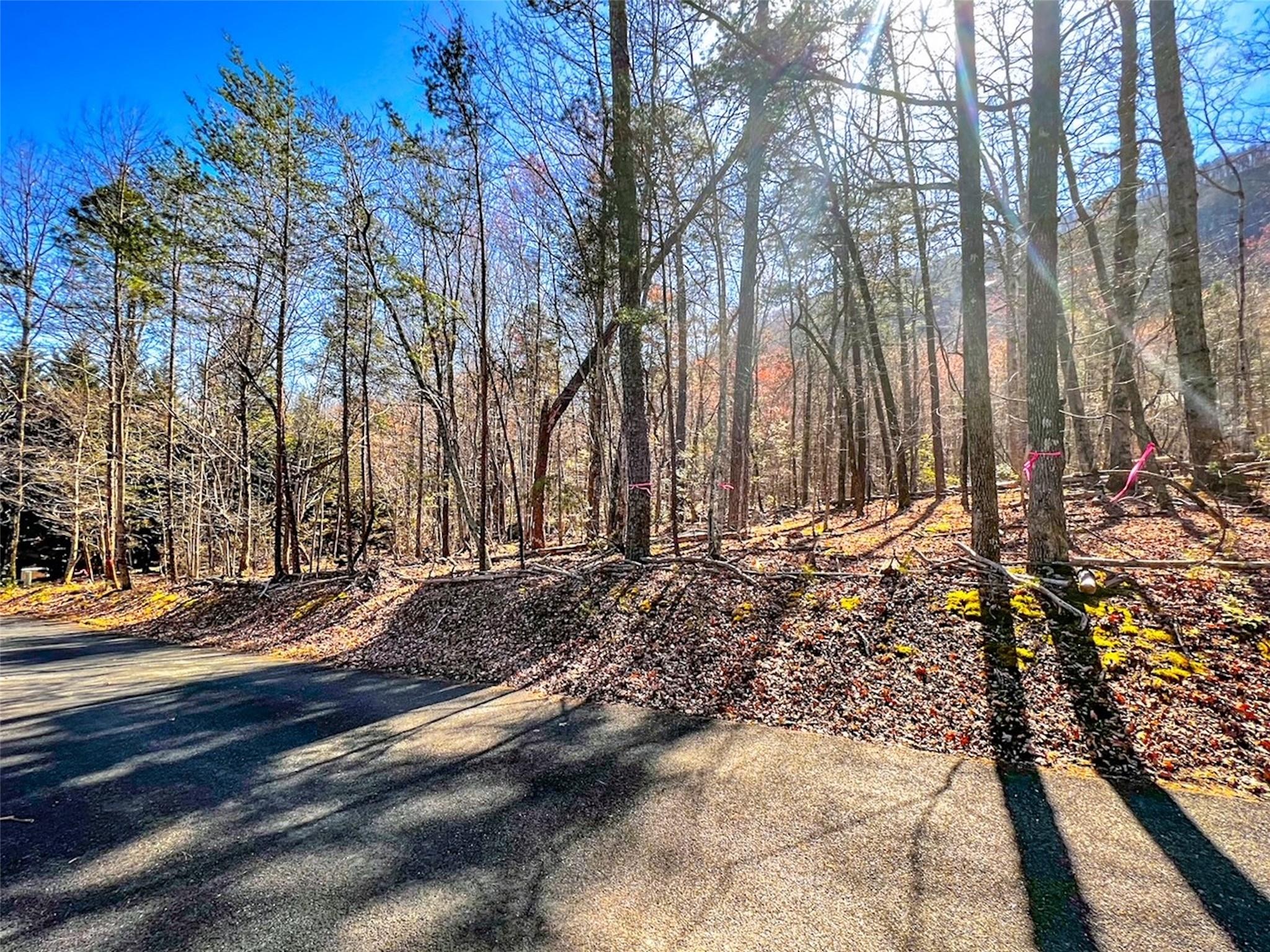 239 Quail Rdg Rd