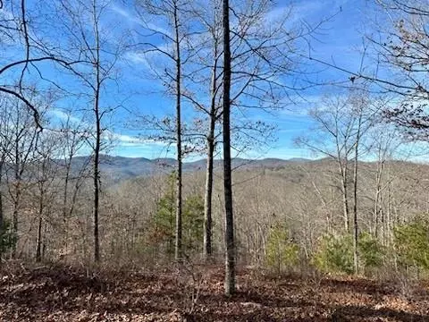 305 Raccoon 25 Run #25, Marshall, NC 28753