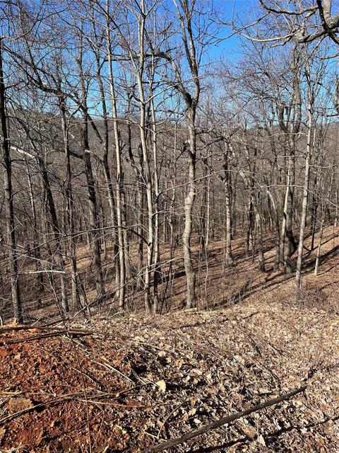 39 White Oak Mountain Drive #LOT 39, Columbus, NC 28722