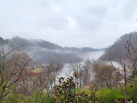 56 River Run, Marshall, NC 28753 photo 8