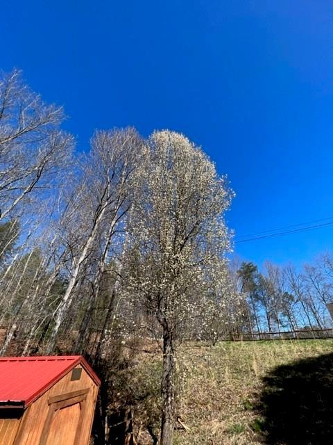 856 Hidden View Loop, Marion, NC 28752 photo 25